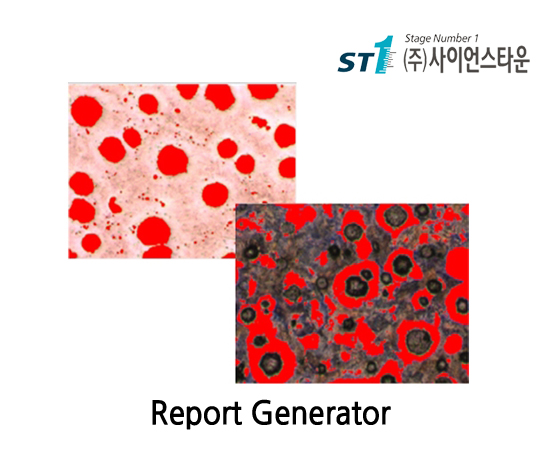 Report Generator